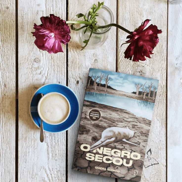 Obra premiada, “O Negrou secou” aborda problemas sociais e ambientais