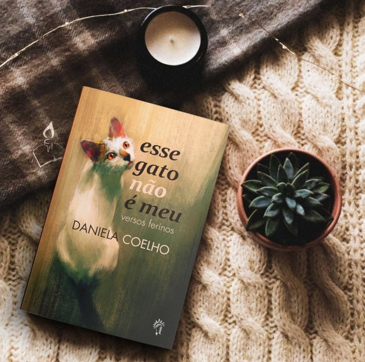 “Esse gato não é meu”: livro encanta seus leitores com seu charme felino